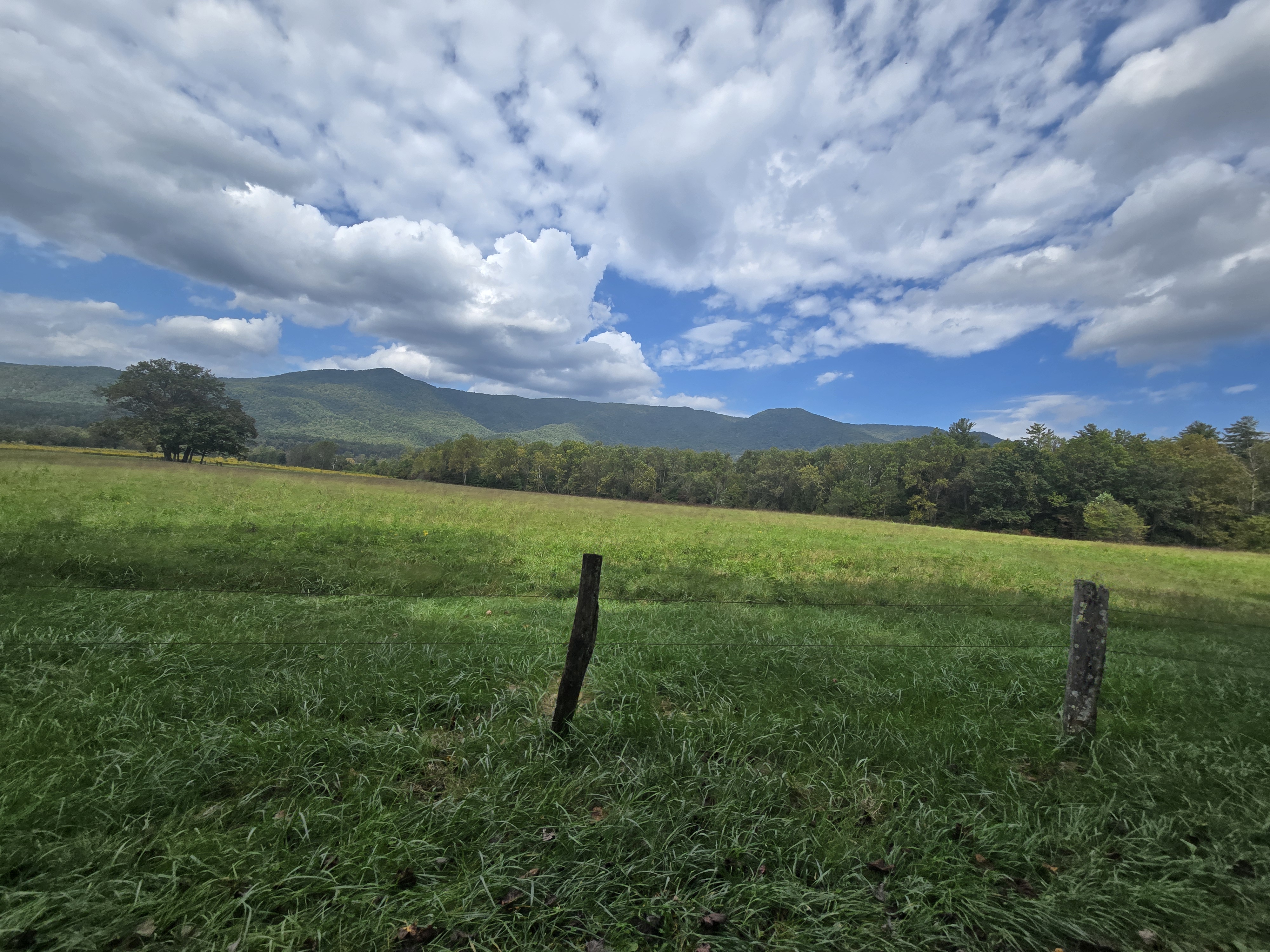 Great Smoky Mountains